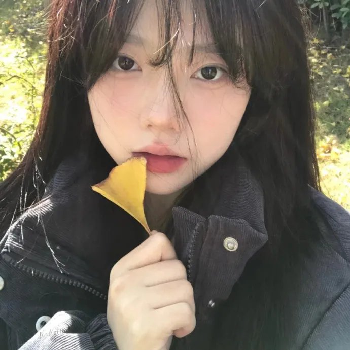 雪山飞狐